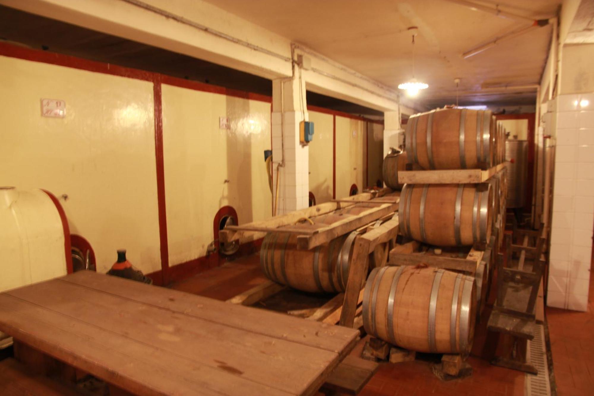 Azienda Agricola Sapereta 阿祖罗港 外观 照片